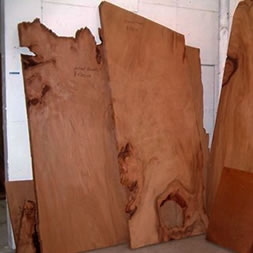 Some of the many dried Kauri slabs