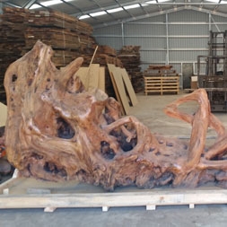 Kauri Timber