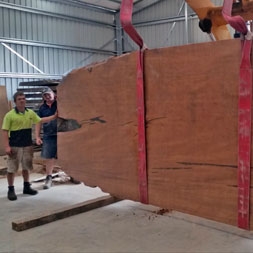 45,000 year old 5.8 x 2.4 x .120 Kauri slab